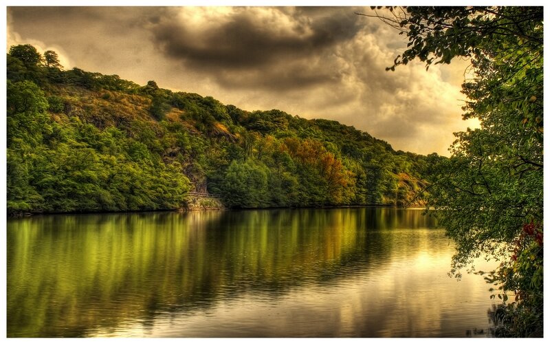 River Reflecting Trees — Green