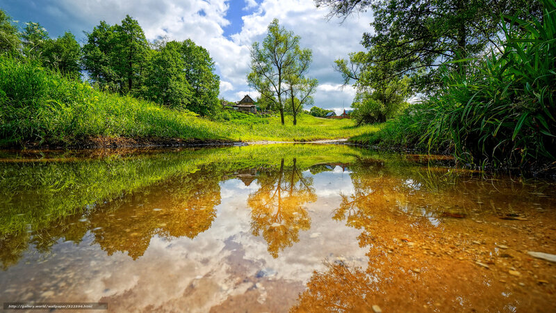 River reflection in green landscape