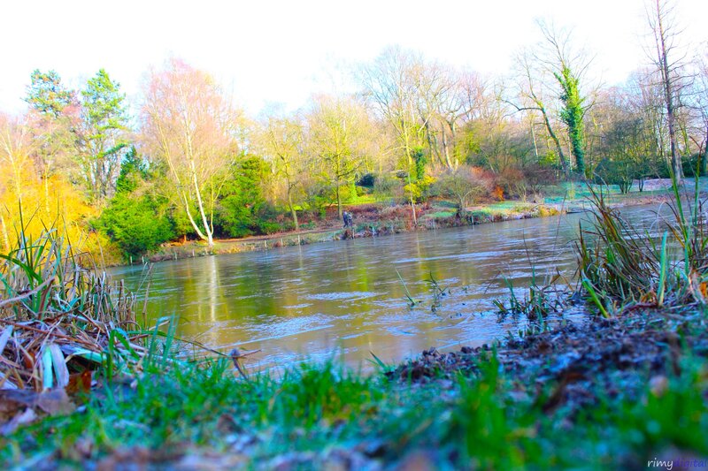 River scene with frosty grass