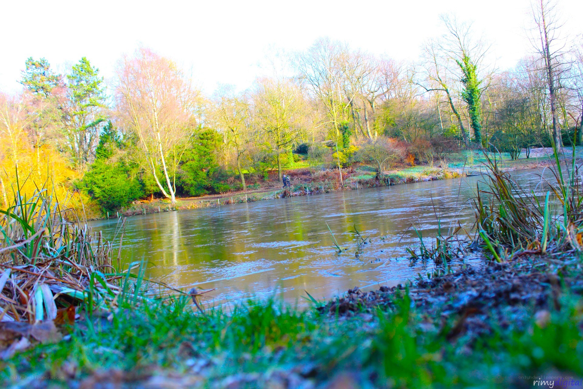 River scene with frosty grass