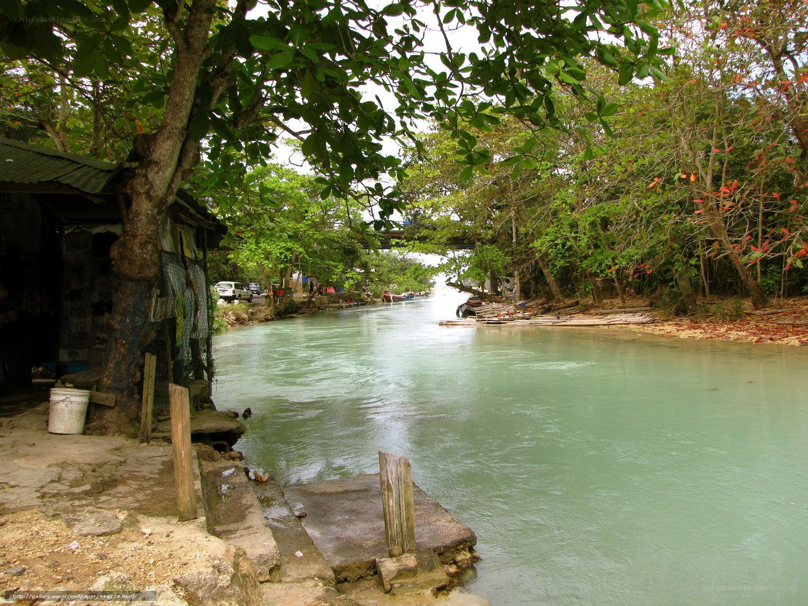 River scene with trees and boats