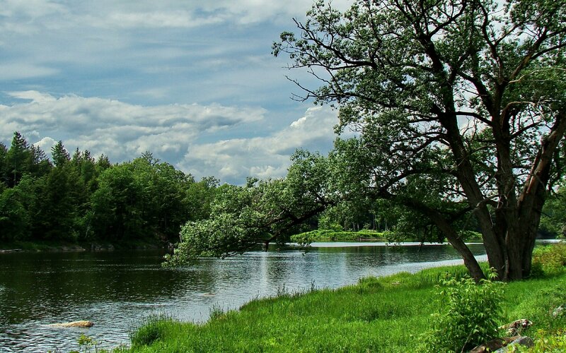 River scene with trees and clouds
