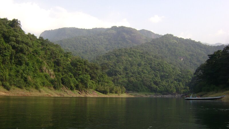 river surrounded by forested hills