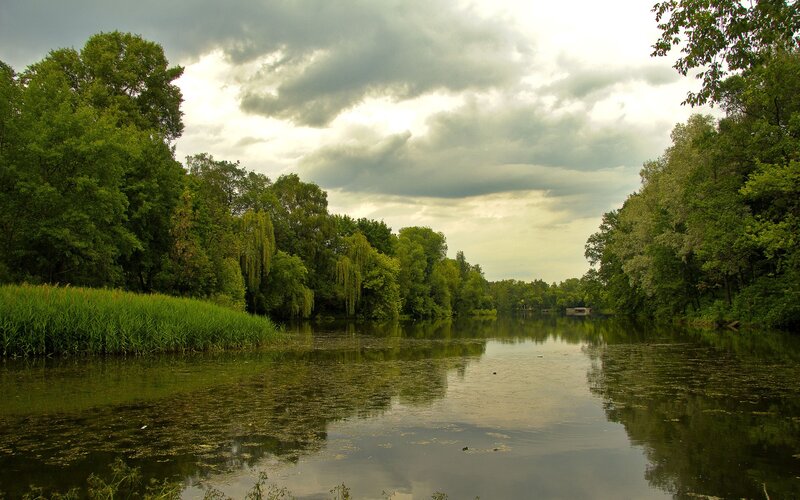 River surrounded by green trees