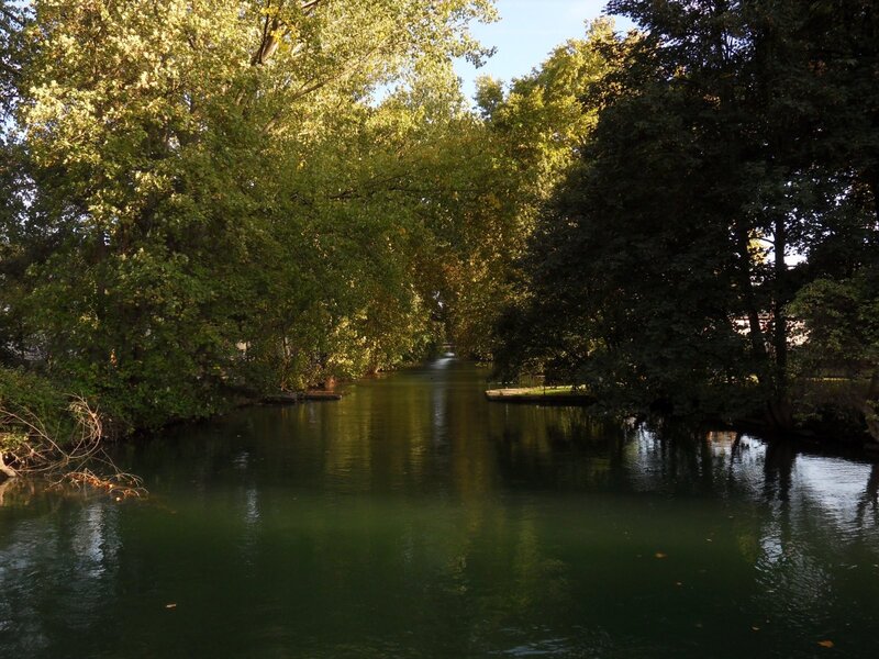 River surrounded by trees