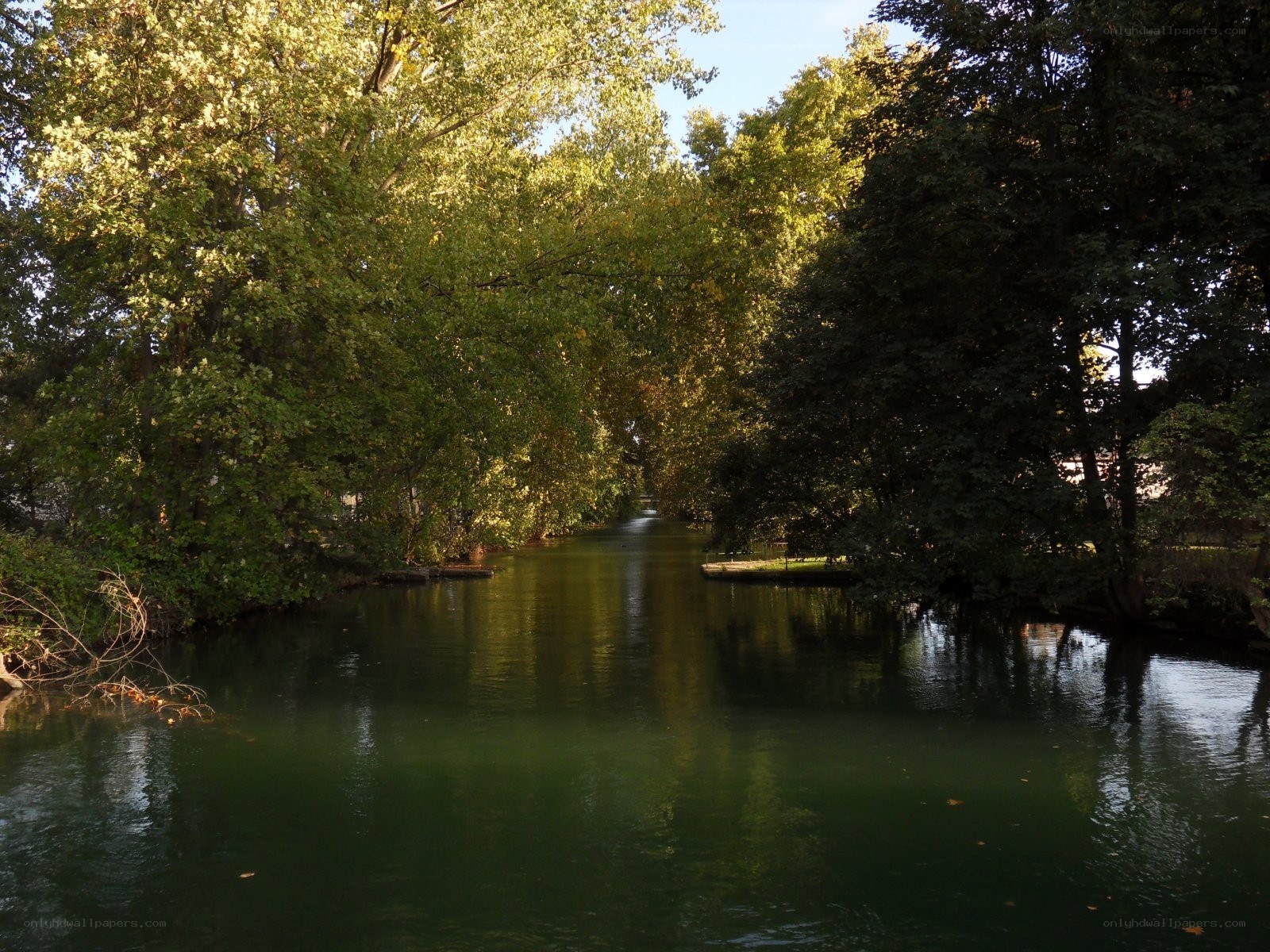 River surrounded by trees