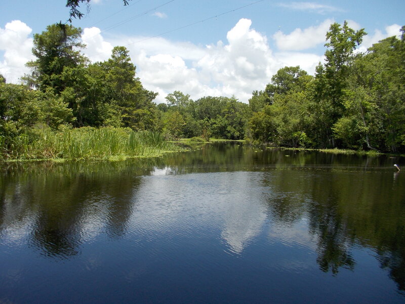 River Surrounded by Trees — Blue, Serene, Afternoon