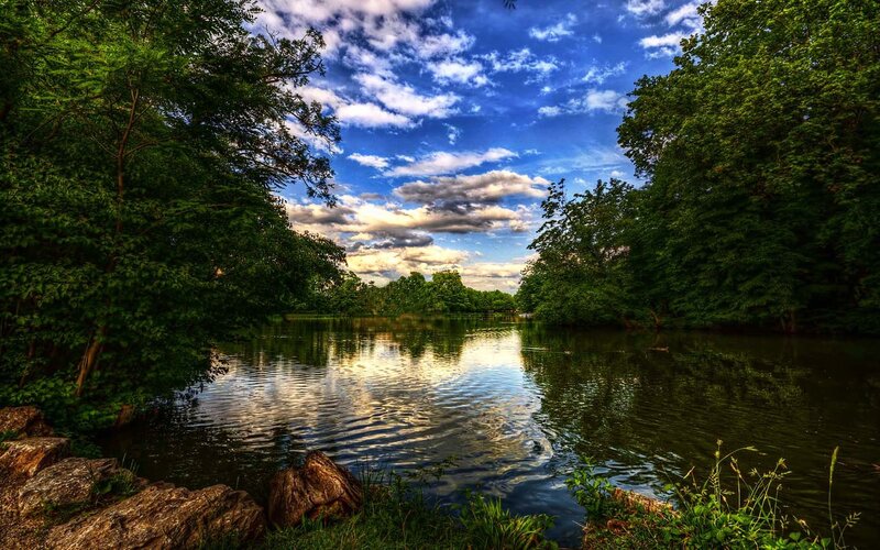 River Surrounded by Trees — Blue