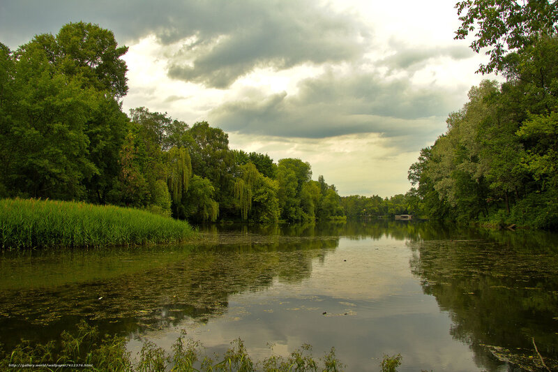 River Surrounded by Trees — Green, Serene, Afternoon, Photograph, Clouds