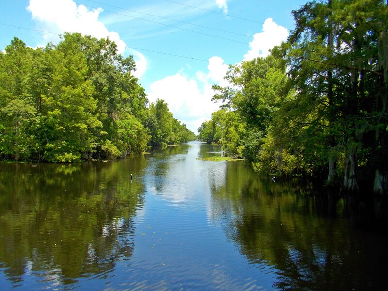 River Surrounded by Trees — Green, Serene, Afternoon, Photograph, Sky, Clouds