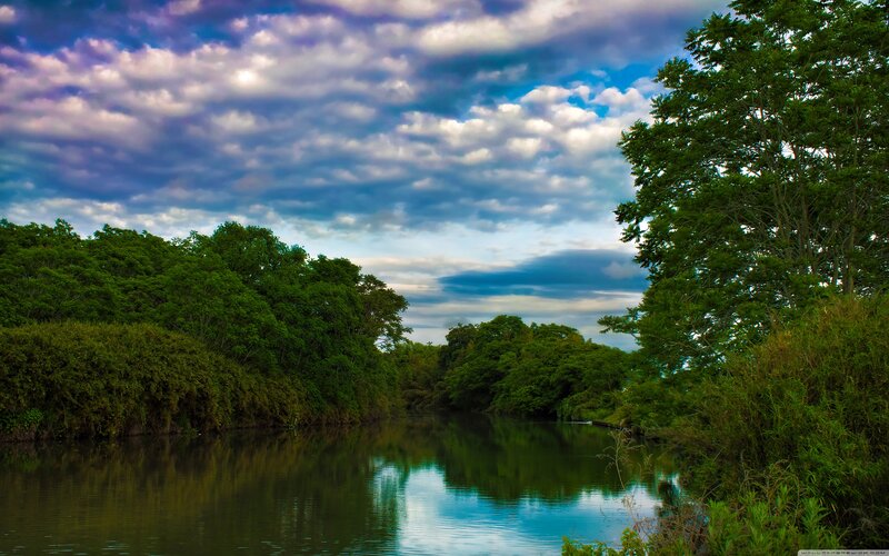 River Surrounded by Trees — Green, Serene, Afternoon, Photograph, Sky