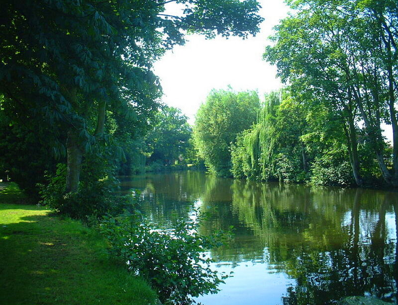 River Surrounded by Trees — Green, Serene, Afternoon, Photograph