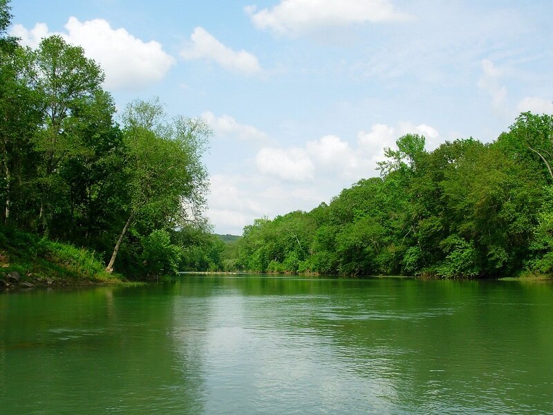 River Surrounded by Trees — Green, Serene, Afternoon