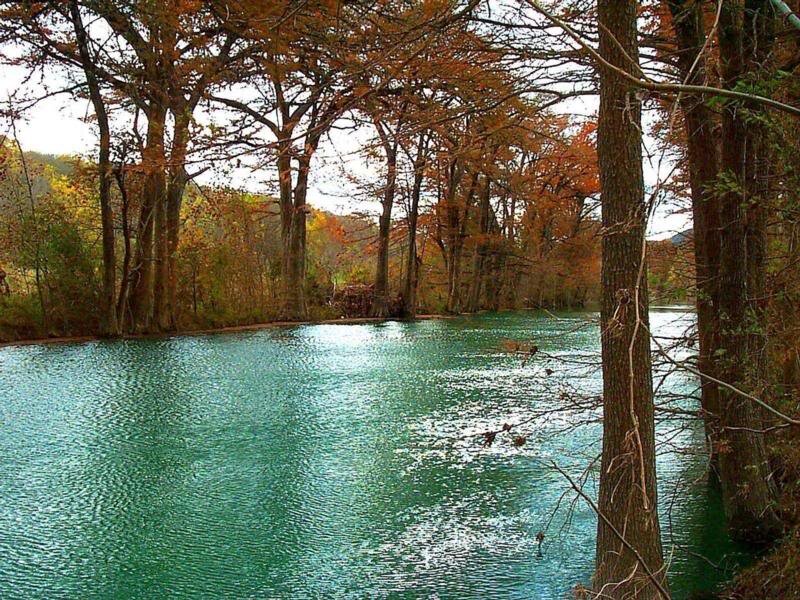 River Surrounded by Trees — Green, Serene, Autumn