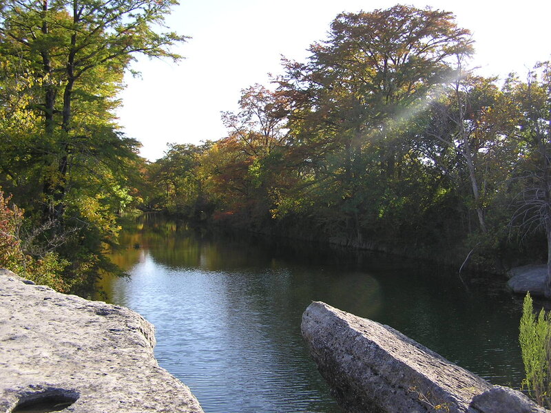 River Surrounded by Trees — Green, Serene