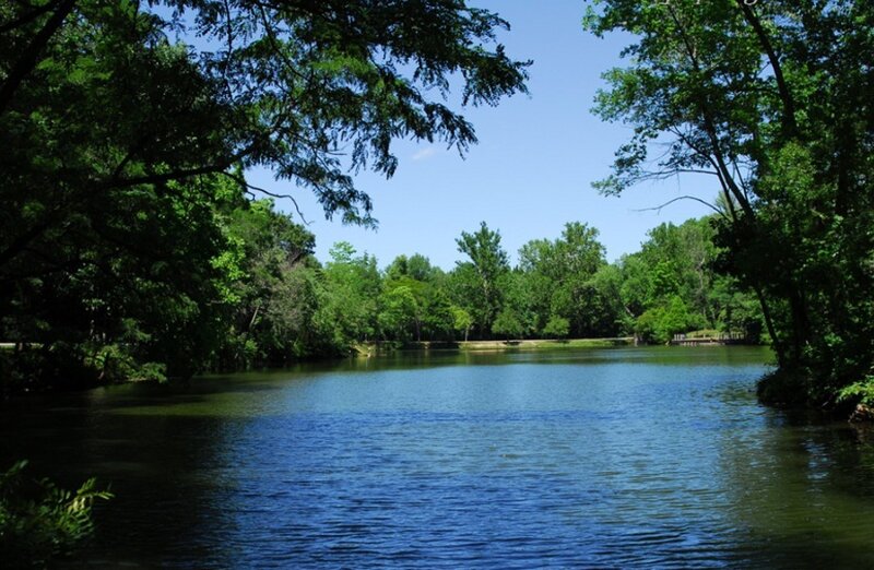 River Surrounded by Trees — Green