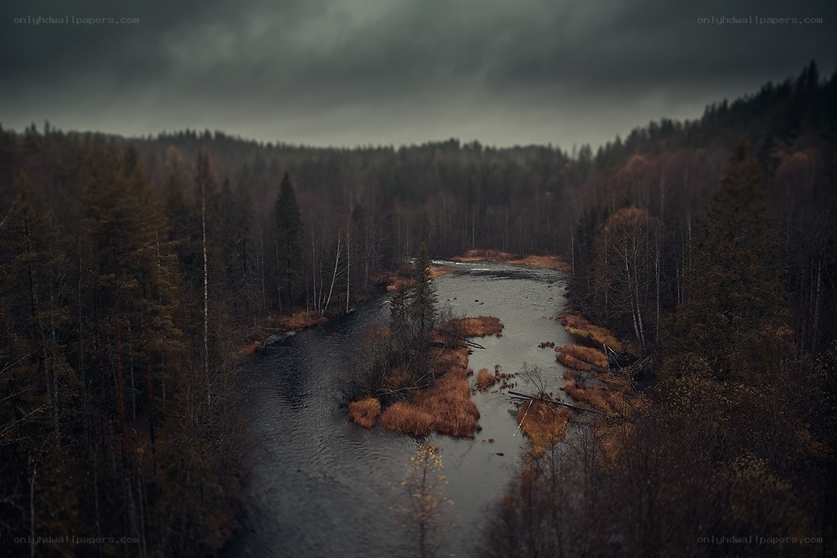 River through a dark forest