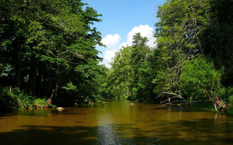 River through a forest