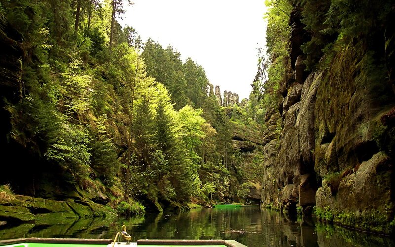 river through a forested canyon