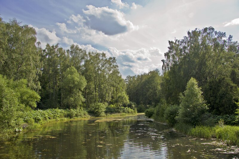 River through a forested landscape
