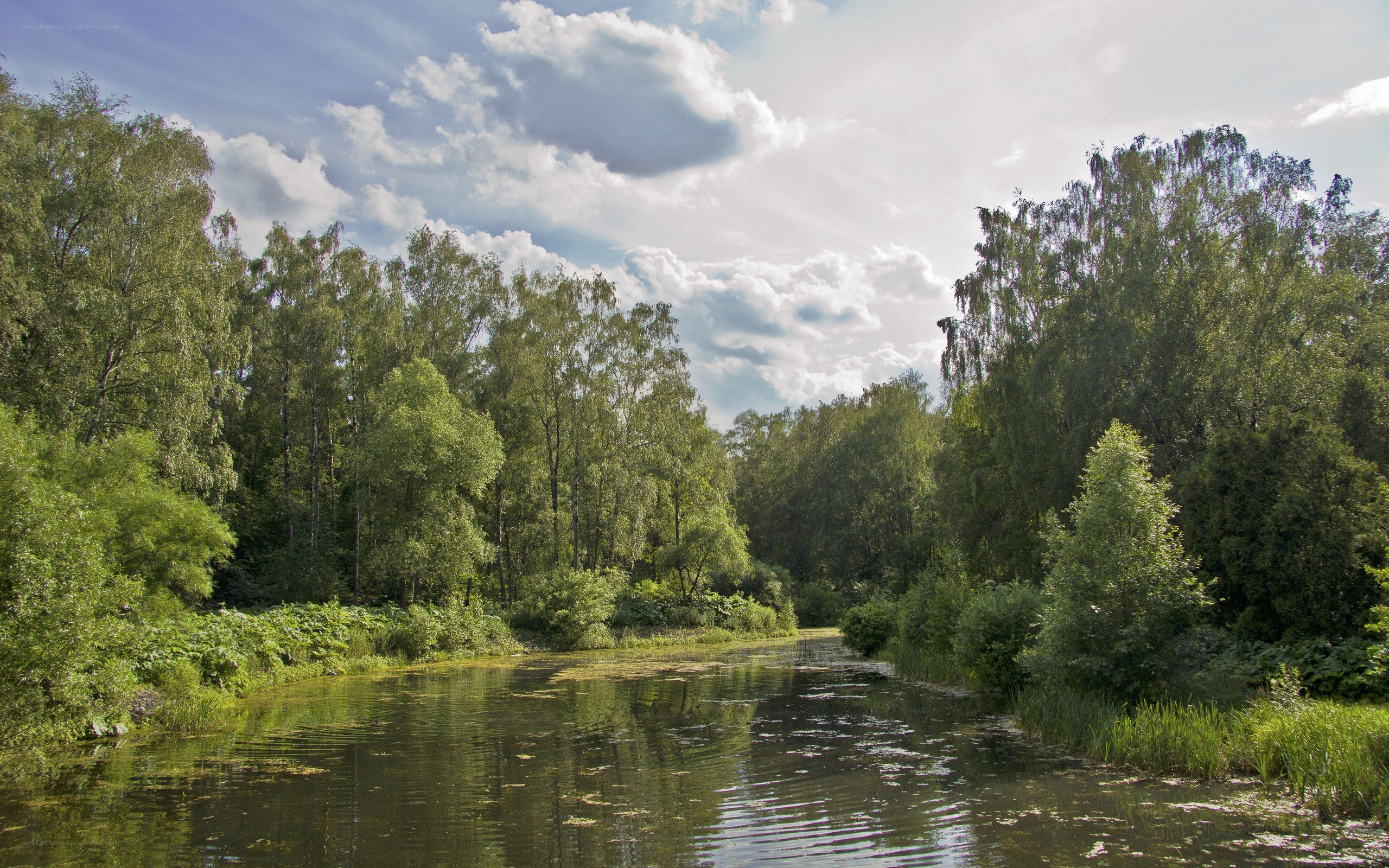 River through a forested landscape