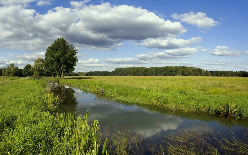 River through a green field