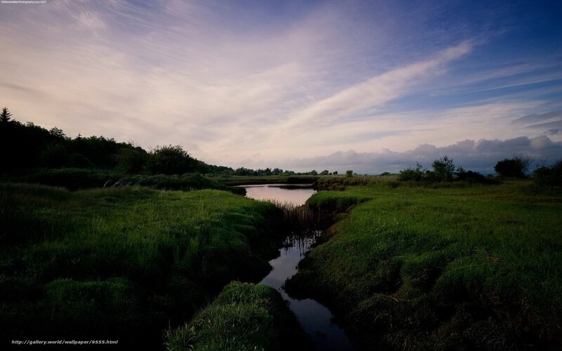River through a green field