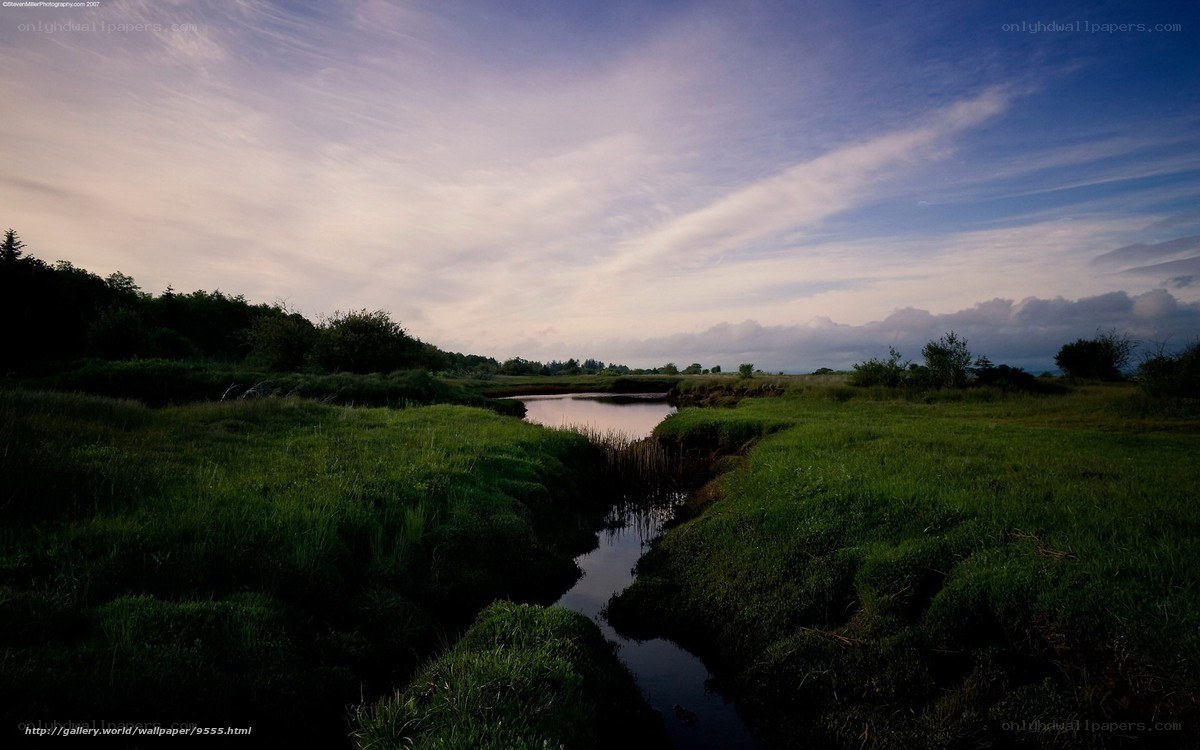 River through a green field