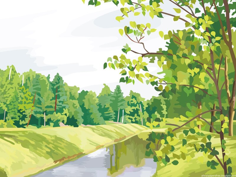 River through a green forest