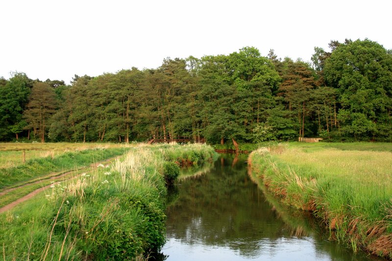River through a green landscape