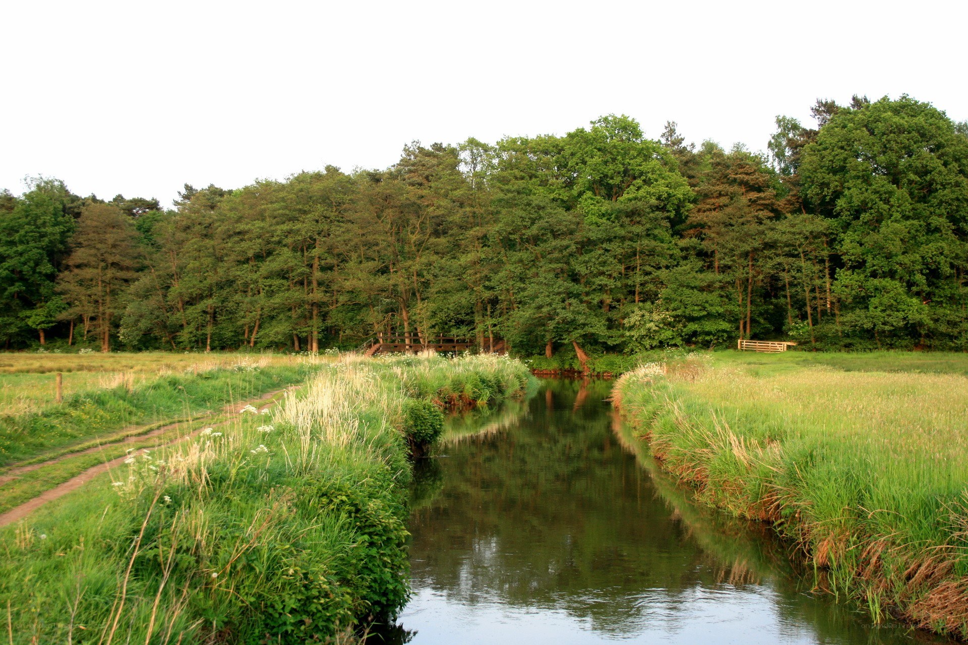 River through a green landscape