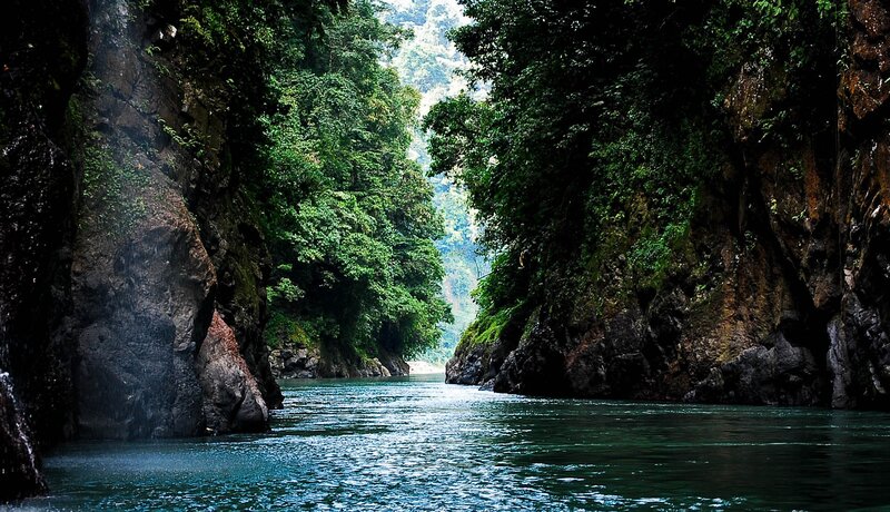 river through a lush canyon