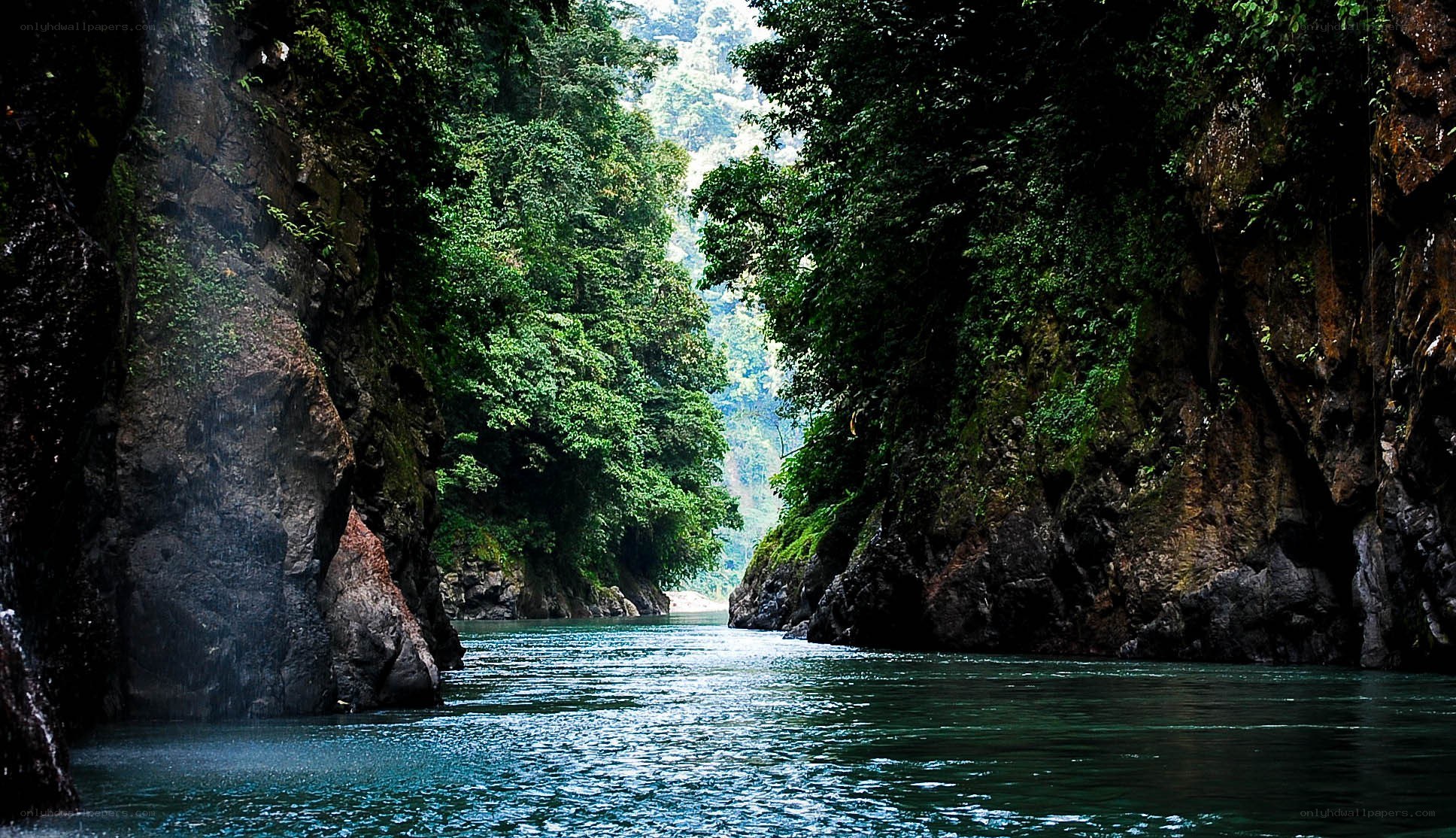 river through a lush canyon