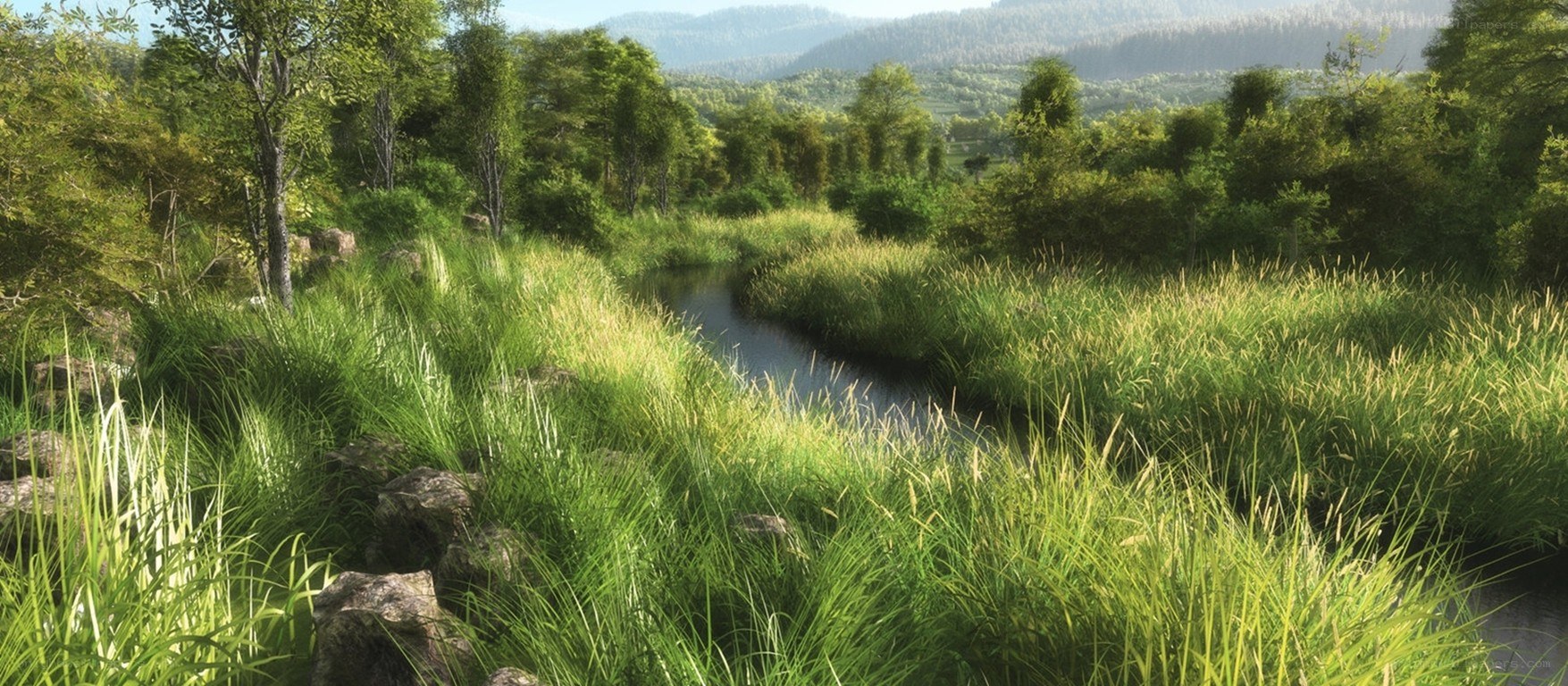 River through a lush forest