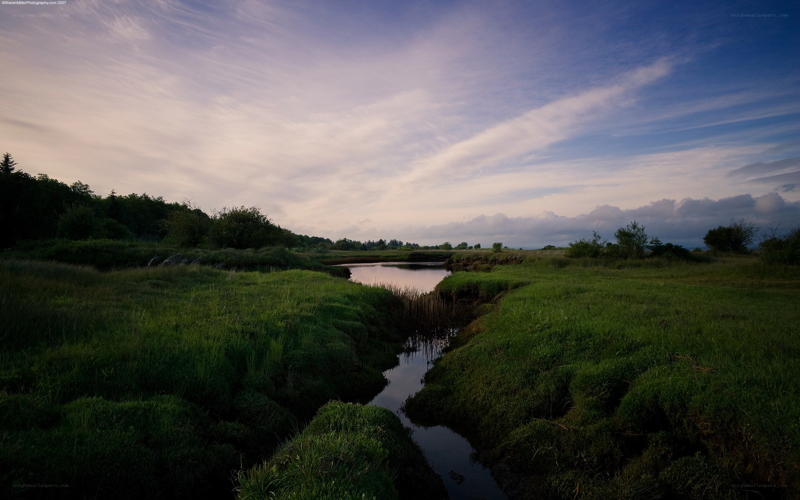 River through a marsh at dusk