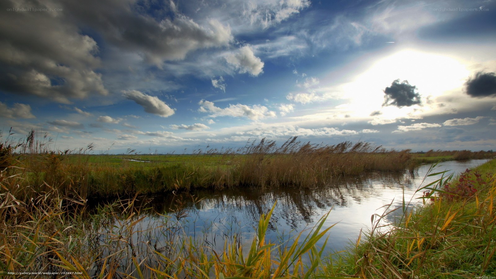 River through a marshy landscape