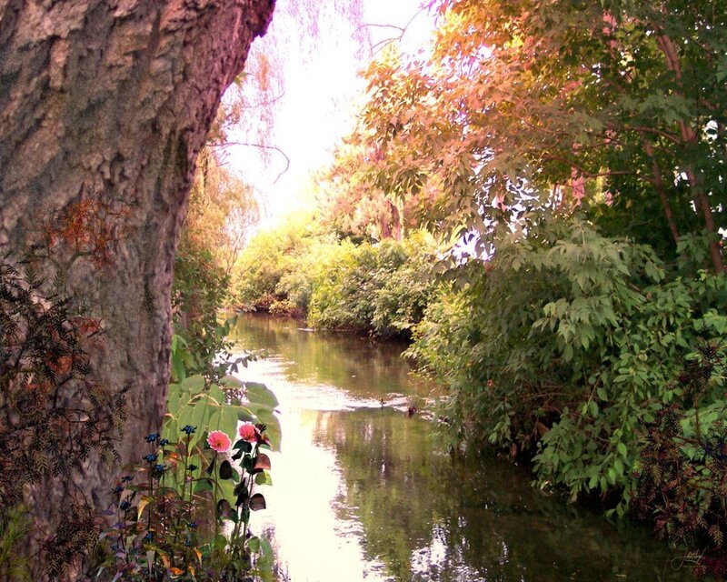 River through a wooded area