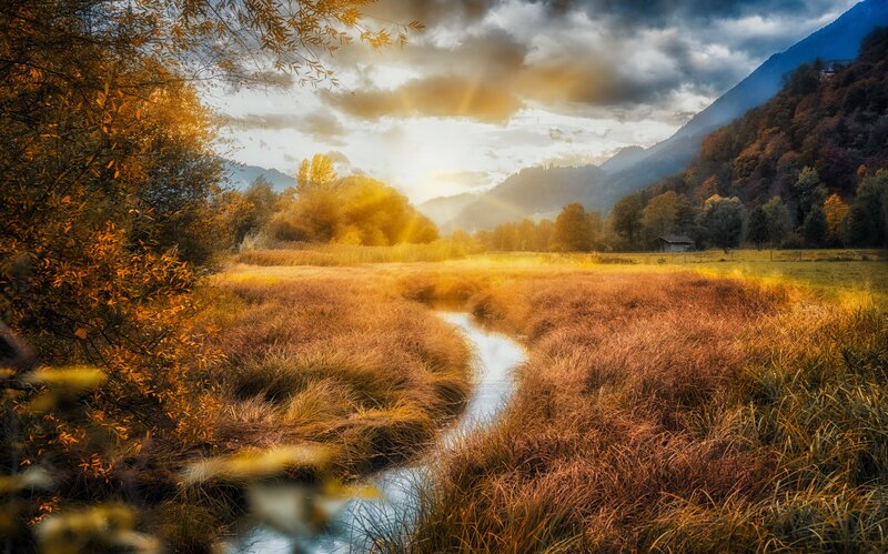 River Through Autumn Field — Gold