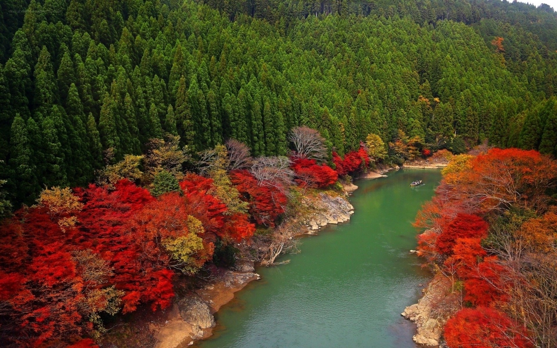 River through autumn forest