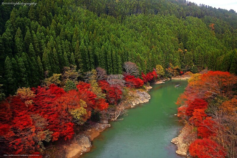 River through autumn forest
