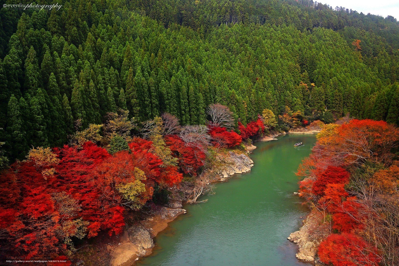 River through autumn forest