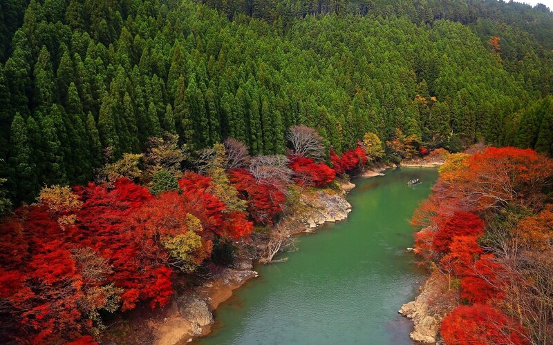River through autumn forest