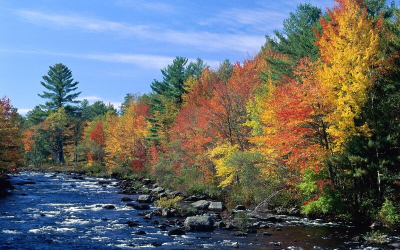 River Through Autumn Forest — Blue, Photograph