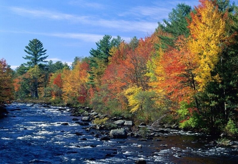 River Through Autumn Forest — Blue, Serene, Photograph
