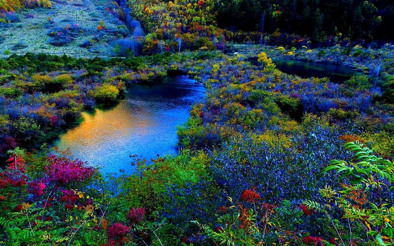 River Through Autumn Forest — Blue, Serene, Photograph, Trees, Hills