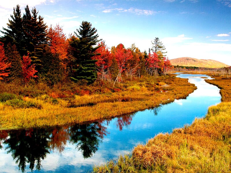 River Through Autumn Forest — Blue, Serene, Photograph, Trees, Mountain, Sky