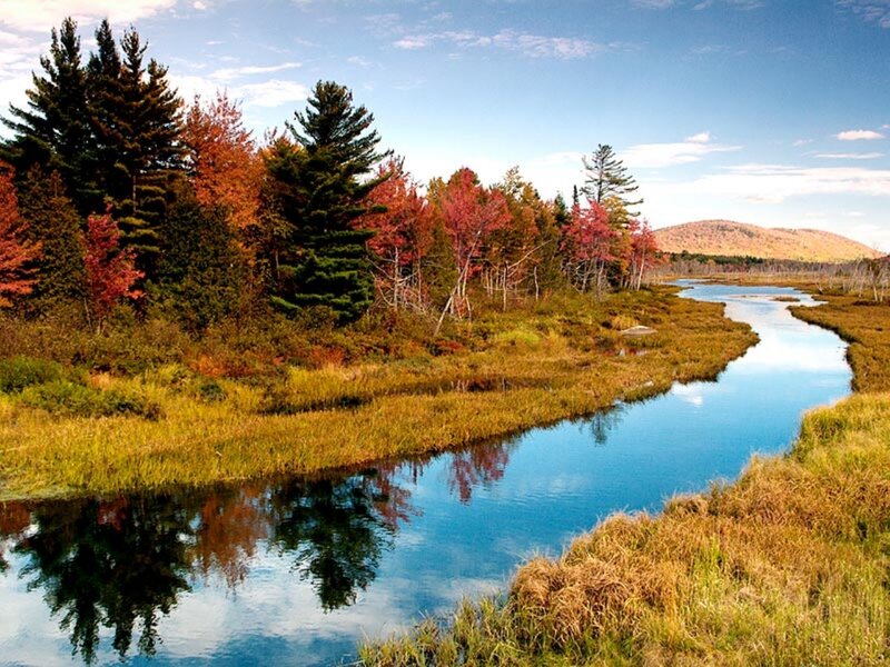 River Through Autumn Forest — Blue, Serene, Photograph, Trees, Mountain