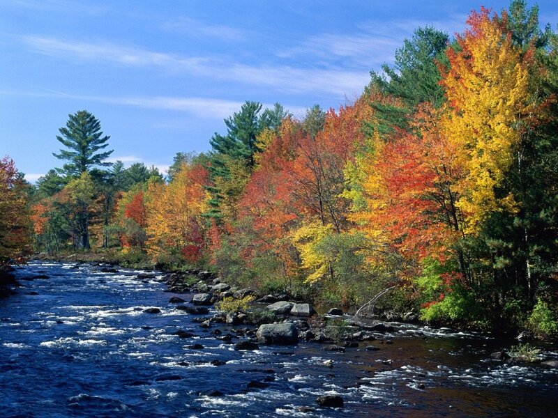 River Through Autumn Forest — Blue, Serene, Photograph, Trees, Rocks