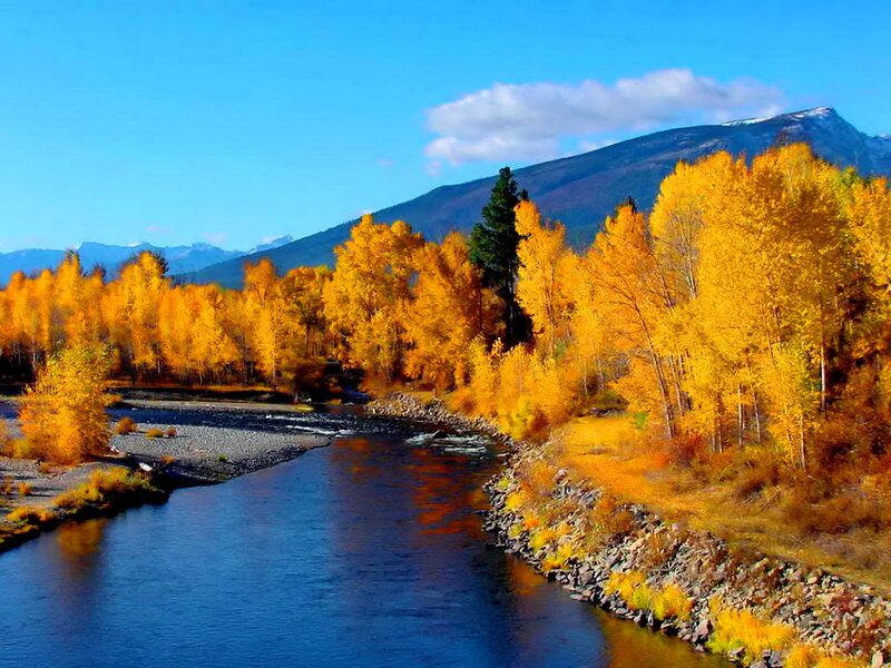 River Through Autumn Forest — Blue, Serene, Photograph, Trees