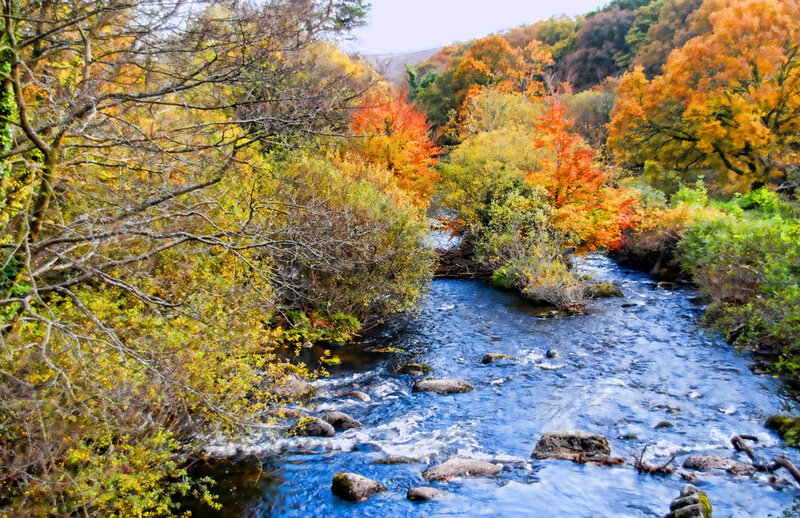 River Through Autumn Forest — Blue, Serene